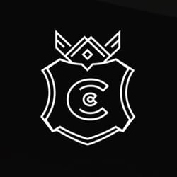 company logo